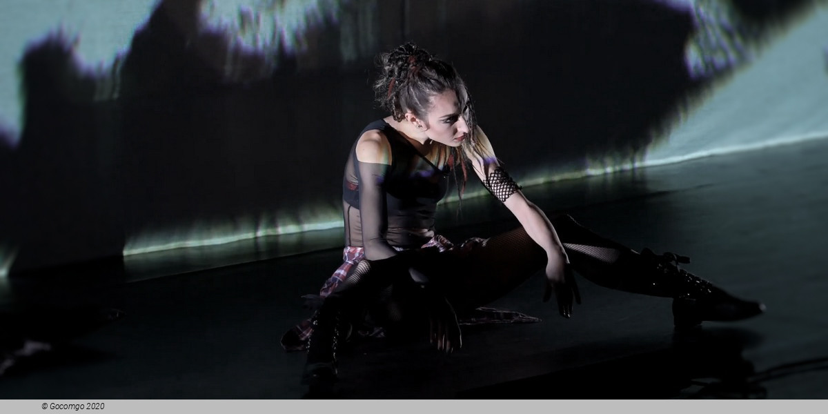 The Miracuolus Mandarin