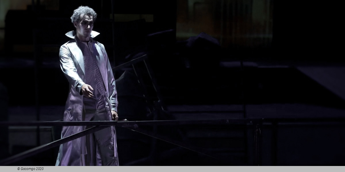 The Miracuolus Mandarin