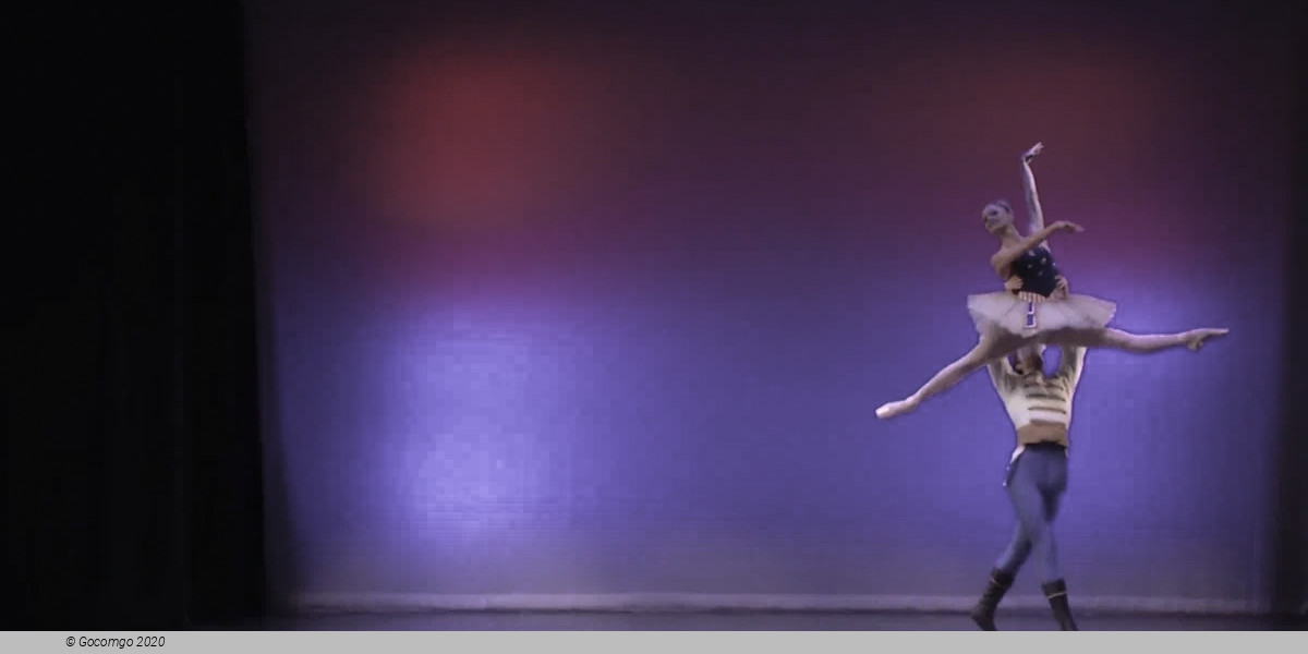 Stars and Stripes, photo 4