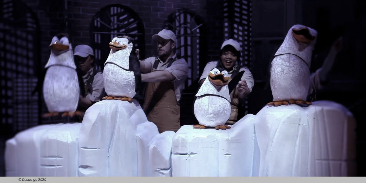 Madagascar The Musical, photo 7