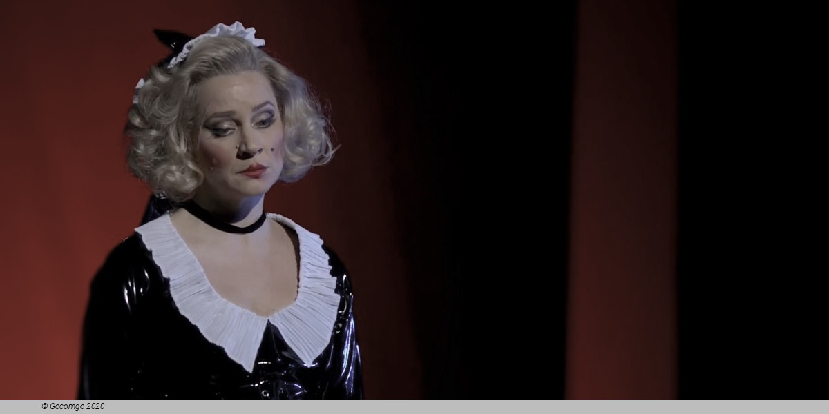 Figaro Gets a Divorce, photo 2