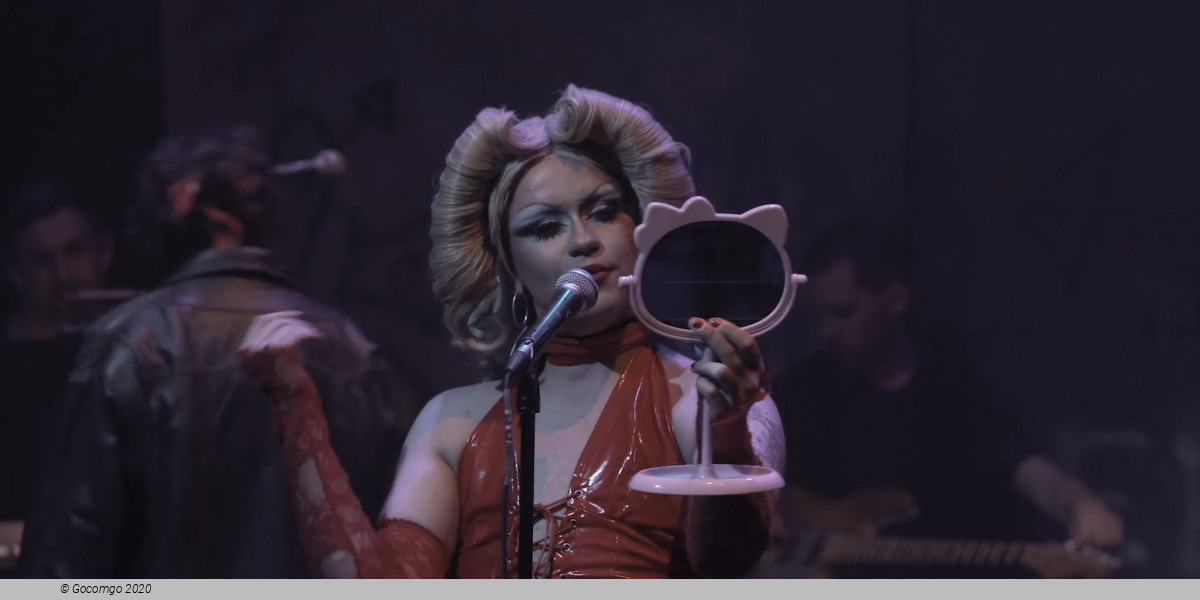 Hedwig and the Angry Inch, photo 7