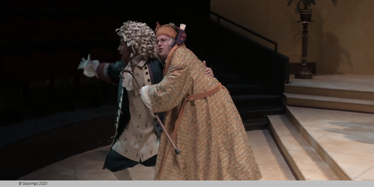 The Imaginary Invalid