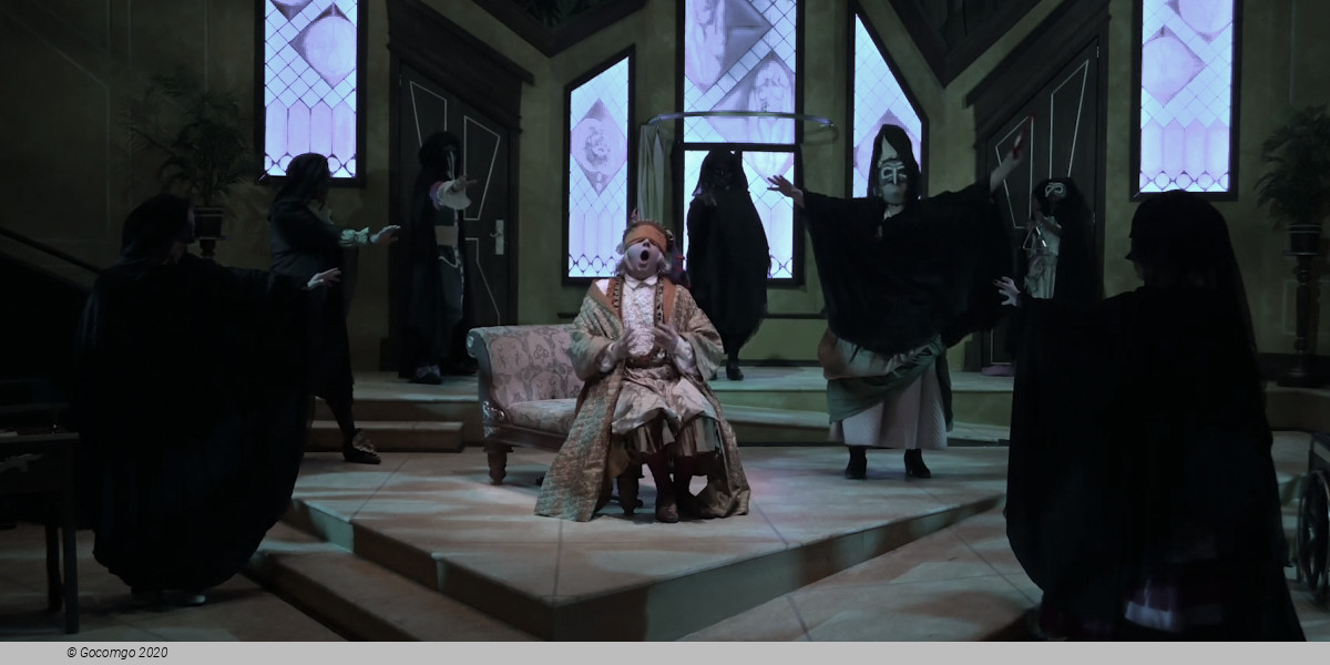 The Imaginary Invalid