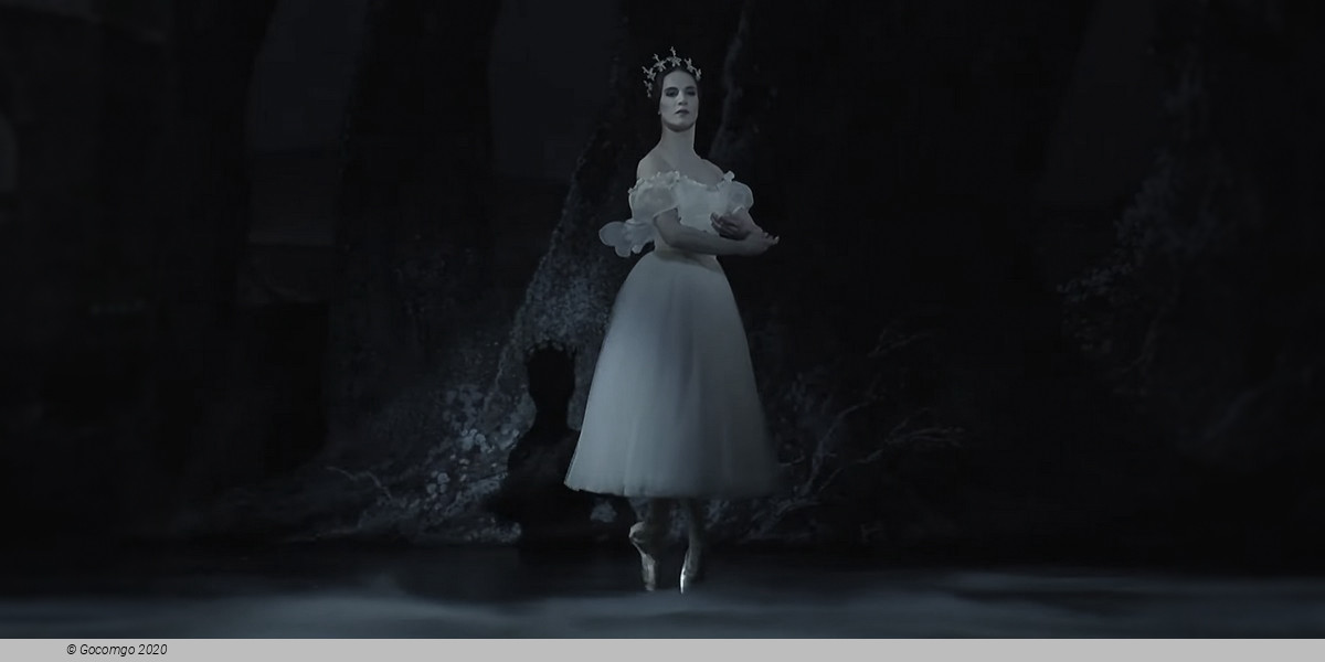 Giselle, photo 19