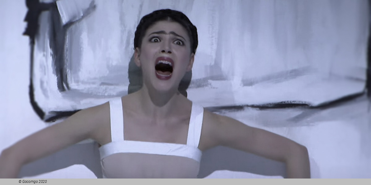 Scene 10 from the ballet "Frida", photo 10