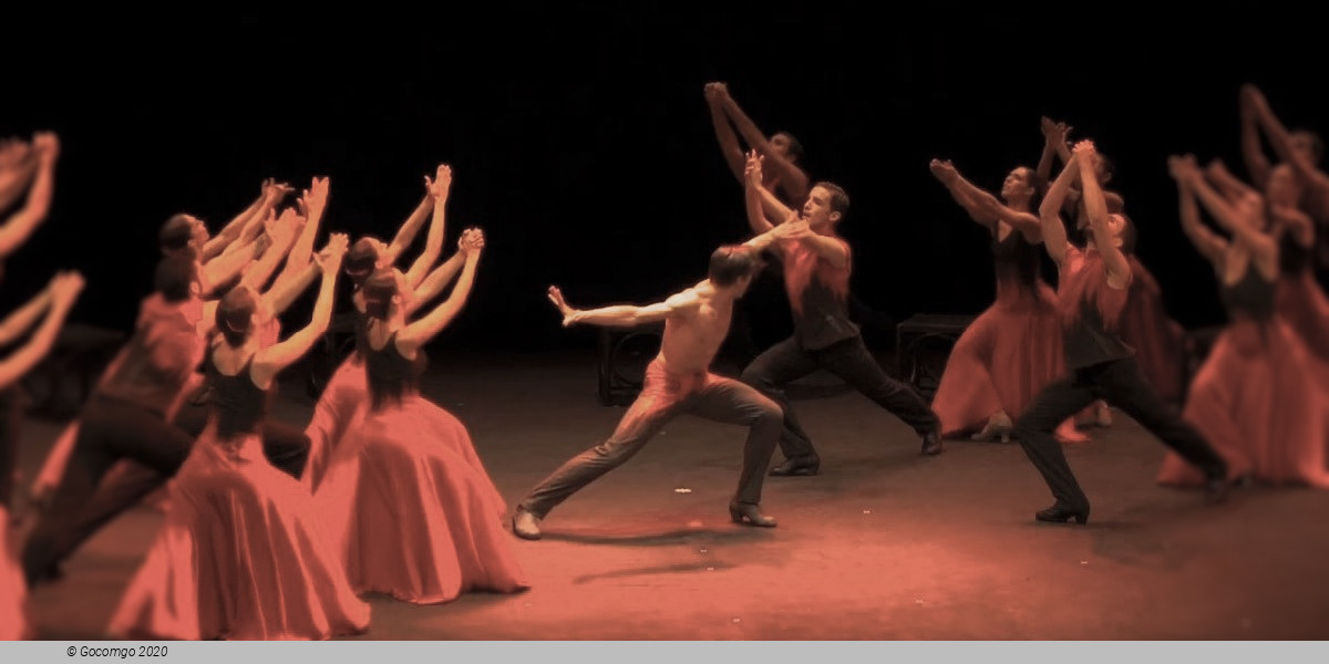 Scene 1 from the ballet "Bolero", photo 2