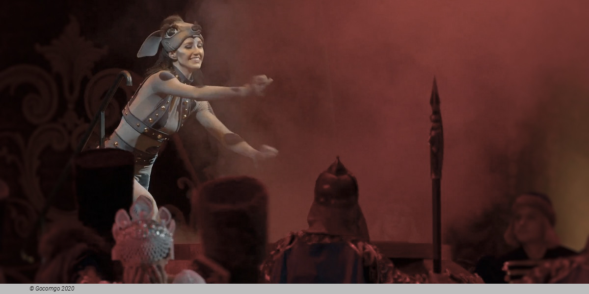 The Little Humpbacked Horse, photo 9