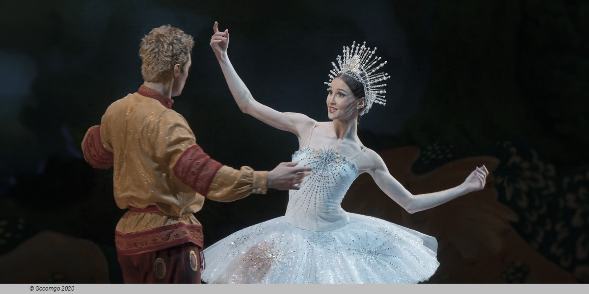 The Little Humpbacked Horse, photo 10