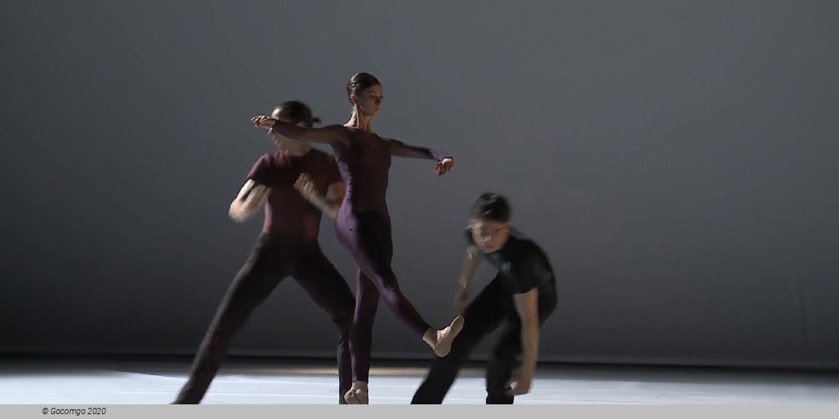 White Darkness, photo 7