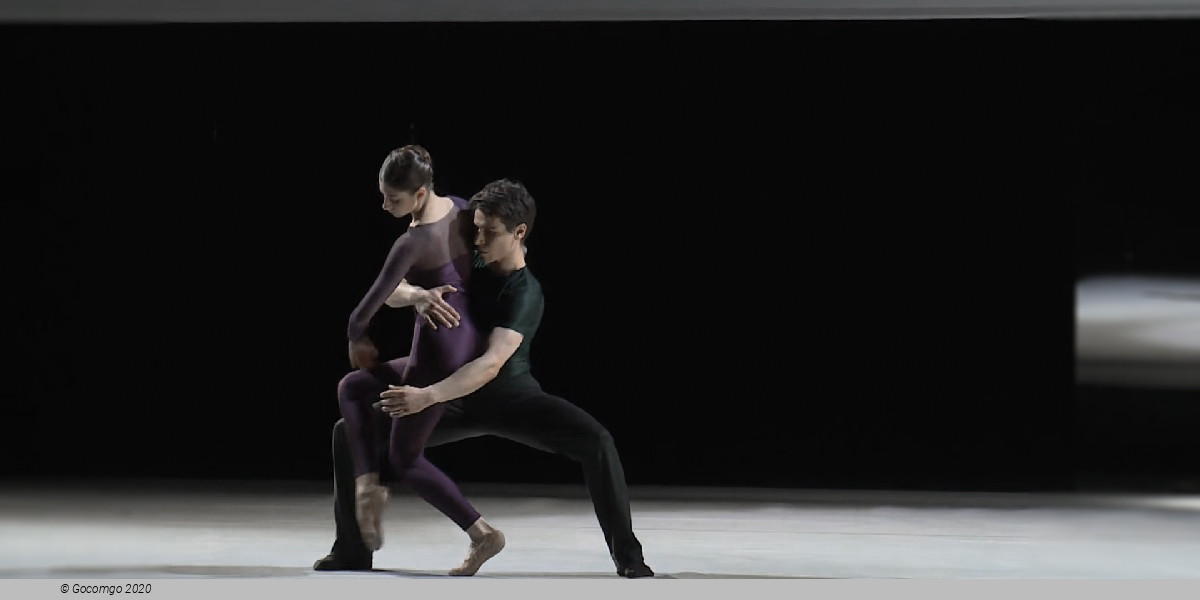 White Darkness, photo 8