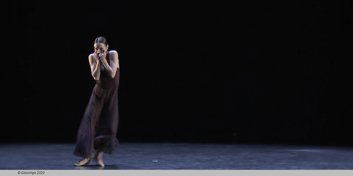 White Darkness, photo 9