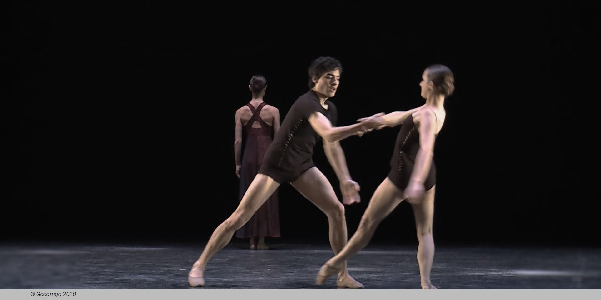 White Darkness, photo 10