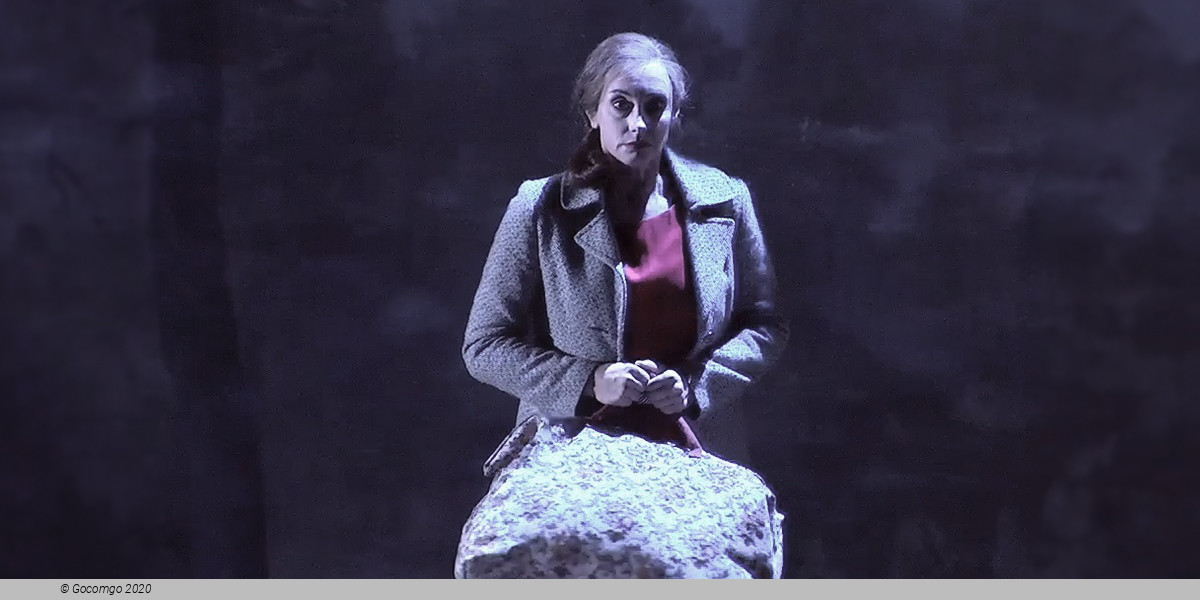 Scene 4 from the opera "The Distant Sound", photo 4