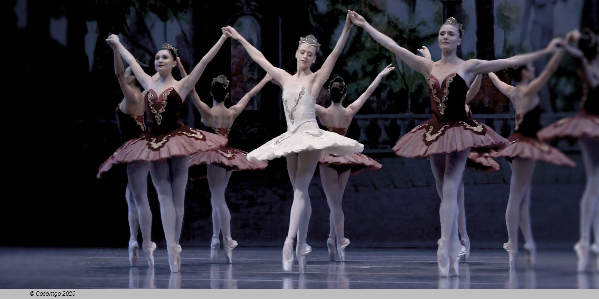 Theme and Variations, photo 7