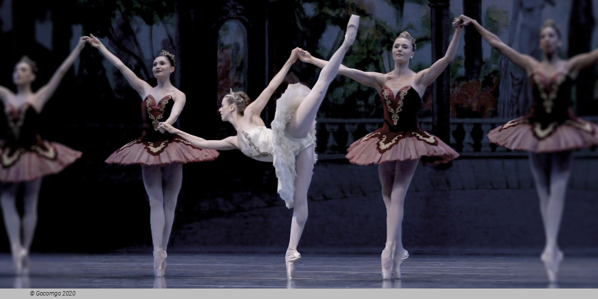 Theme and Variations, photo 8