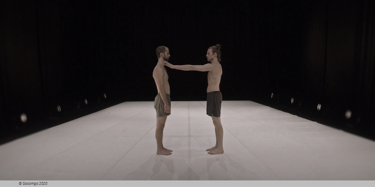 Through the Grapevine, photo 1