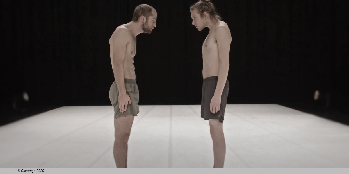 Through the Grapevine, photo 2